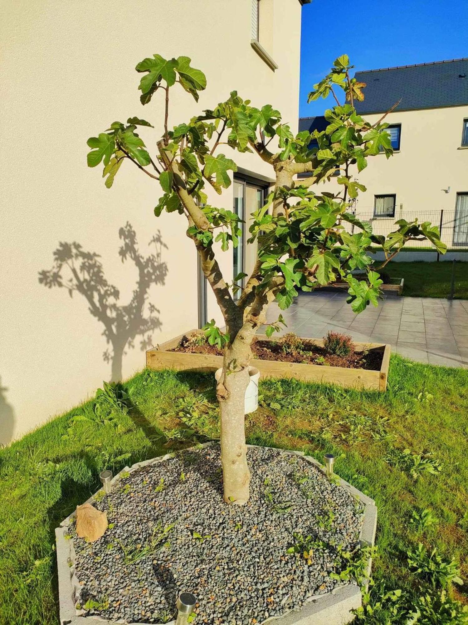 Jenny Gite - Homestay Plancoët Eksteriør bilde